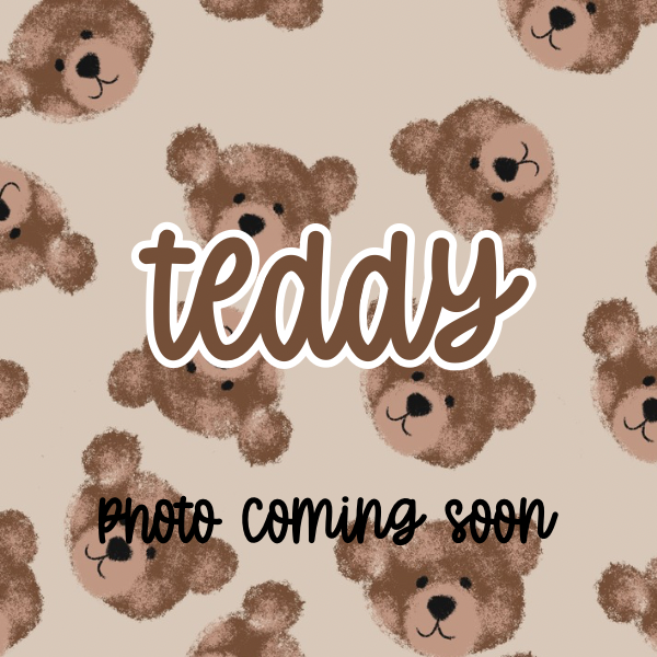 TEDDY Surface Cleaner