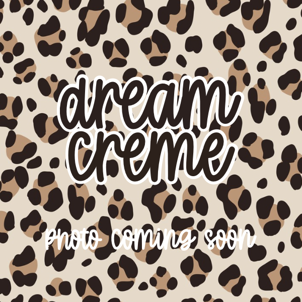 DREAM CREME Mop Magic