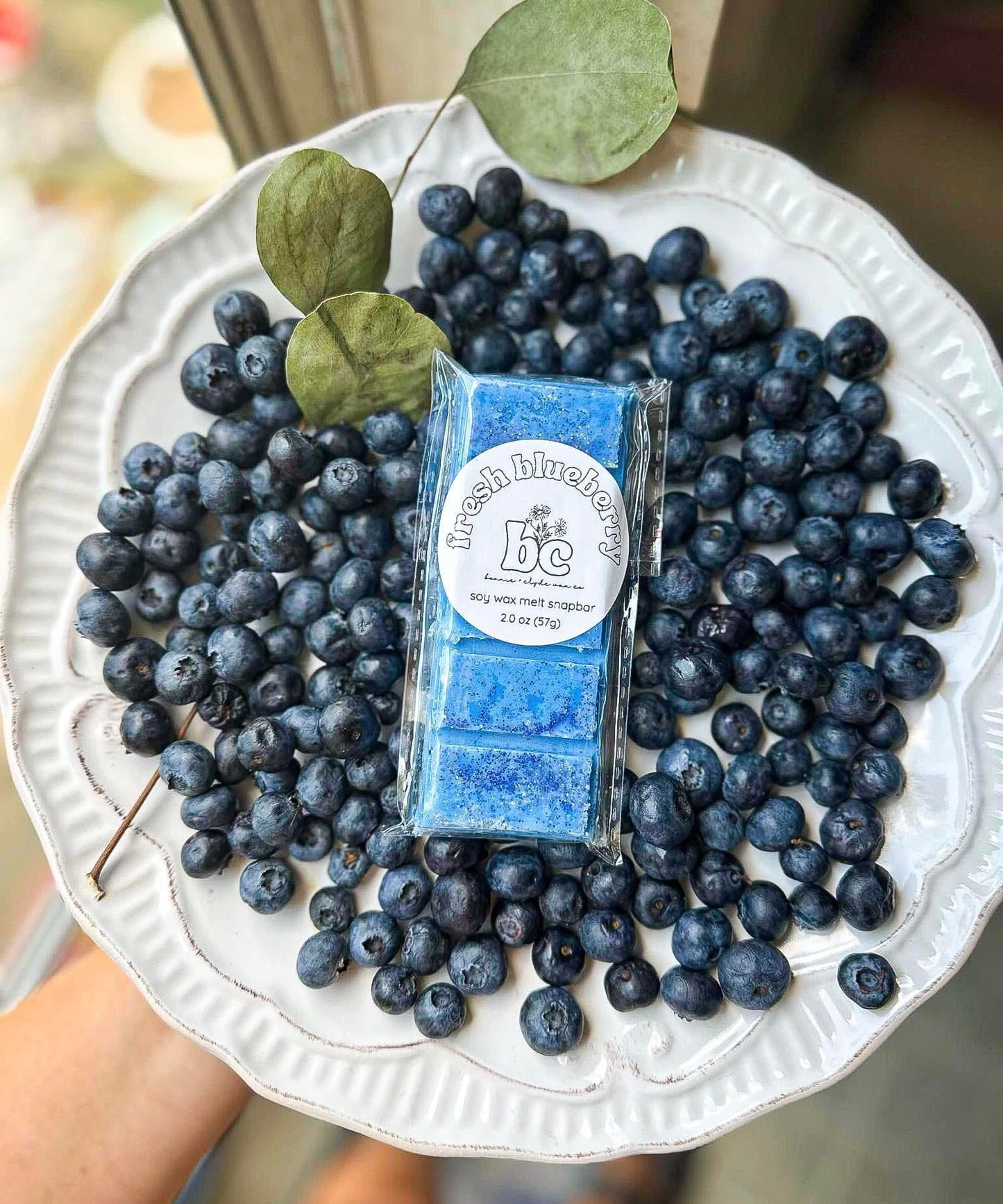 FRESH BLUEBERRY Wax Melts