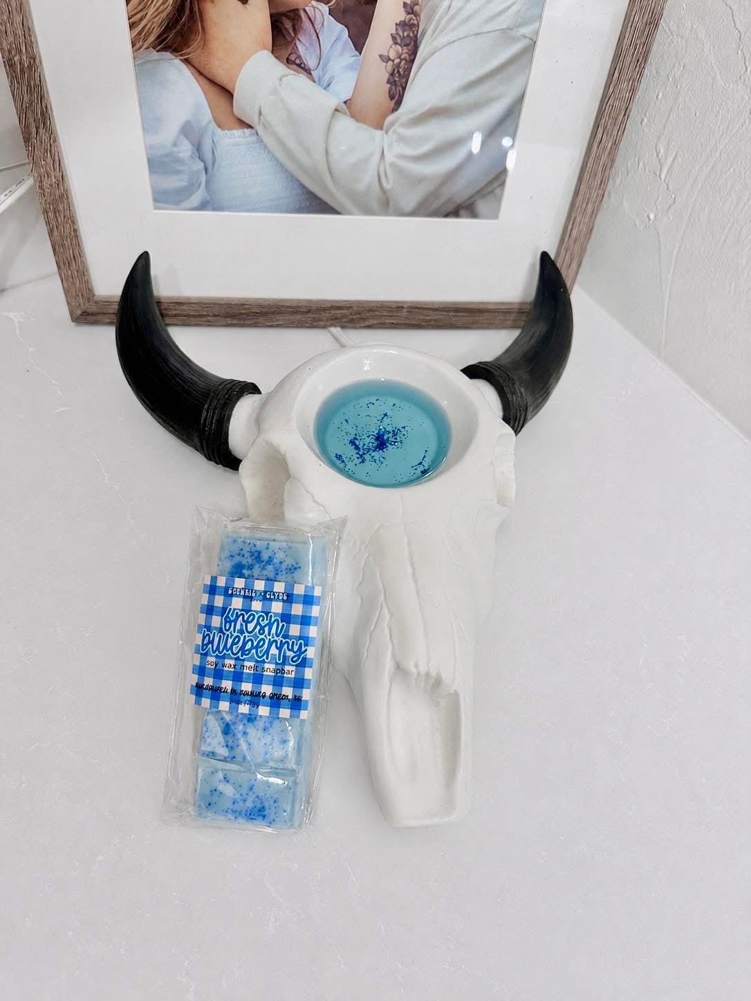 FRESH BLUEBERRY Wax Melts
