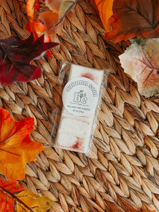 AUTUMN SOUL Wax Melts